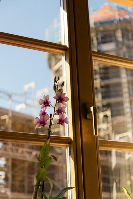 Apartement 1 Grosse Bruedergasse バウツェン エクステリア 写真